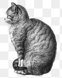Png sitting cat sticker, Jean Bernard's vintage illustration, transparent background