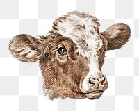 Cow head png sticker, farm animal vintage illustration, transparent background