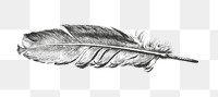 Png feather sticker, black and white vintage illustration, transparent background