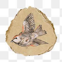 Bird png sticker, vintage artwork, transparent background, ripped paper badge
