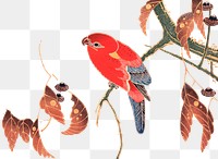 Png red parrot sticker, Ito Jakuchu's vintage illustration, transparent background