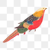Golden Pheasant png sticker, Ito Jakuchu's bird vintage illustration, transparent background