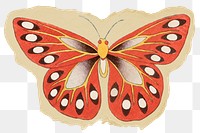 Beautiful butterfly png sticker, ripped paper, transparent background