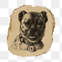 Dog png sticker, vintage artwork, transparent background, ripped paper badge