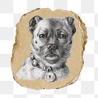 Dog png sticker, vintage artwork, transparent background, ripped paper badge