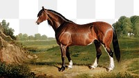 PNG horse in the field, collage element, transparent background