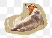 Dog png sticker, vintage artwork, transparent background, ripped paper badge