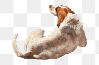 Dog png sticker, vintage artwork, transparent background