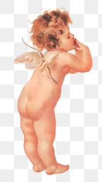 Cupid png sticker, vintage artwork, transparent background