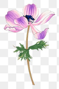 Poppy png sticker, Japanese ukiyo e art, transparent background