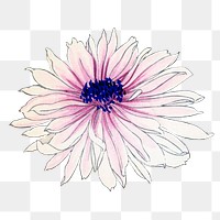 Anemone flower png sticker, Japanese ukiyo e art, transparent background