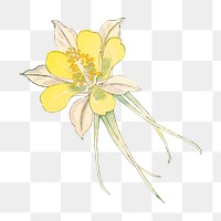 Columbine flower png sticker, Japanese ukiyo e art, transparent background