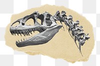 Dinosaur fossil png ripped paper sticker, extinct animal graphic, transparent background