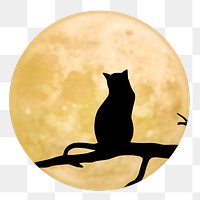 Cat silhouette png sticker, full moon cut out, transparent background