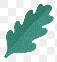 Oak leaf png sticker, transparent background