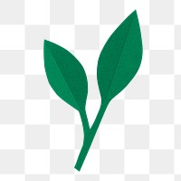 Green paper leaf png sticker, transparent background