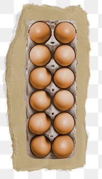Egg carton png sticker, ripped paper, transparent background