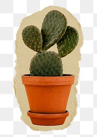 Cactus pot png ripped paper sticker, houseplant, home decor, transparent background