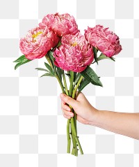 Pink peony bouquet png, held by hand, collage element