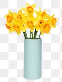 PNG daffodil in blue vase, isolated object, collage element design