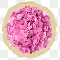 Purple flower png sticker, ripped paper, transparent background