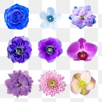 PNG blue and purple flower sticker, collage element set