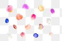 PNG colorful flower petal set, transparent background