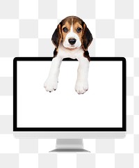 Computer screen png puppy sticker, transparent background