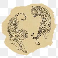 Roaring tigers png sticker, ripped paper on transparent background