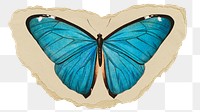 Blue butterfly png sticker, ripped paper on transparent background