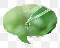 Water drop png leaf environment sticker, ripped paper speech bubble, transparent background