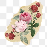 Rose flowers png sticker, ripped paper on transparent background
