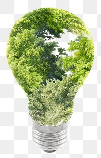 Tree light bulb png sticker, environment cut out, transparent background