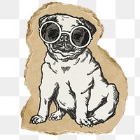 Pug wearing sunglasses png sticker, ripped paper on transparent background
