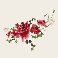 Vintage spring red flower vector illustration, remixed from public domain artworks