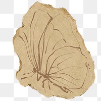 Aesthetic butterfly png sticker, transparent background