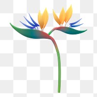 Bird of paradise png sticker, botanical 3D cartoon transparent background