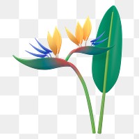 Bird of paradise  png sticker, botanical 3D cartoon transparent background