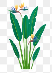 Bird of paradise png sticker, botanical  3D cartoon transparent background