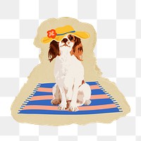 Cavalier King dog png sticker, ripped paper, transparent background