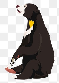 PNG sun bear sitting, realistic Malaysian animal illustration sticker, transparent background