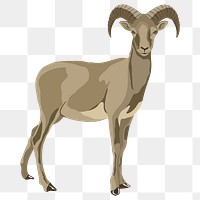 PNG mountain goat illustration, wild animal sticker, transparent background