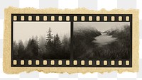 Film strip png sticker, ripped paper, transparent background