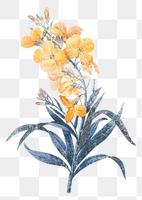 Wallflower png sticker, illustration on transparent background
