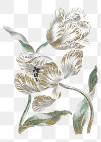 Tulip flower png sticker, illustration on transparent background