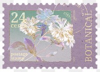 Aesthetic flower png postage stamp sticker, aesthetic illustration on transparent background