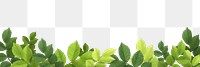 Green leaf png border sticker, transparent background