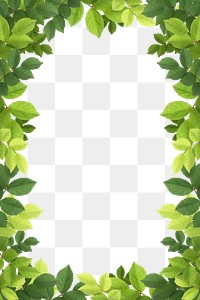 Green leaf png frame sticker, transparent background