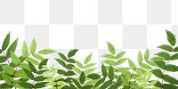 Green leaf png border sticker, transparent background