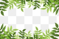 Green leaf png border frame, transparent background